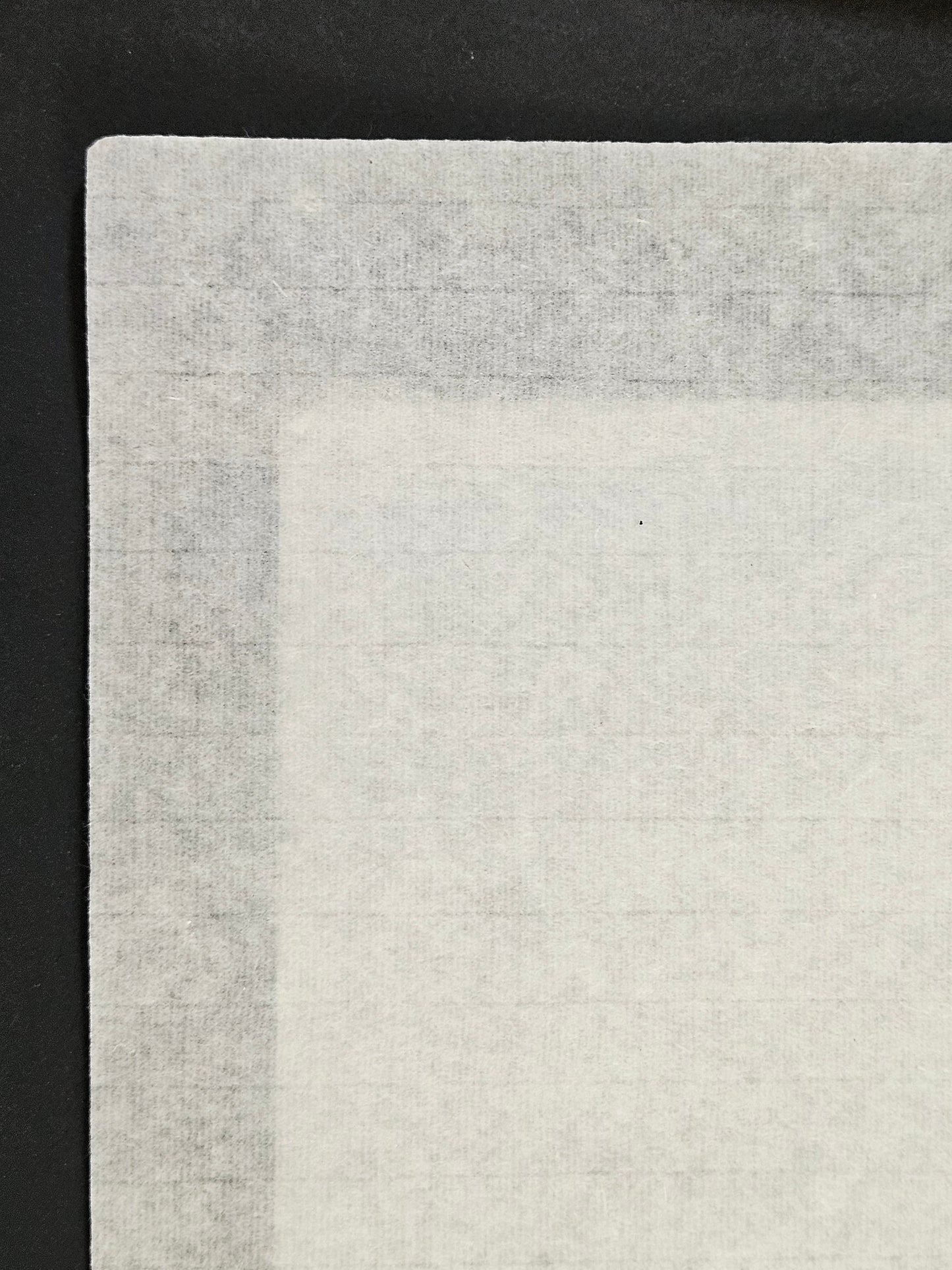 Semi-sized (half-ripe)Bamboo Tanpi Xuan Paper L 27x54