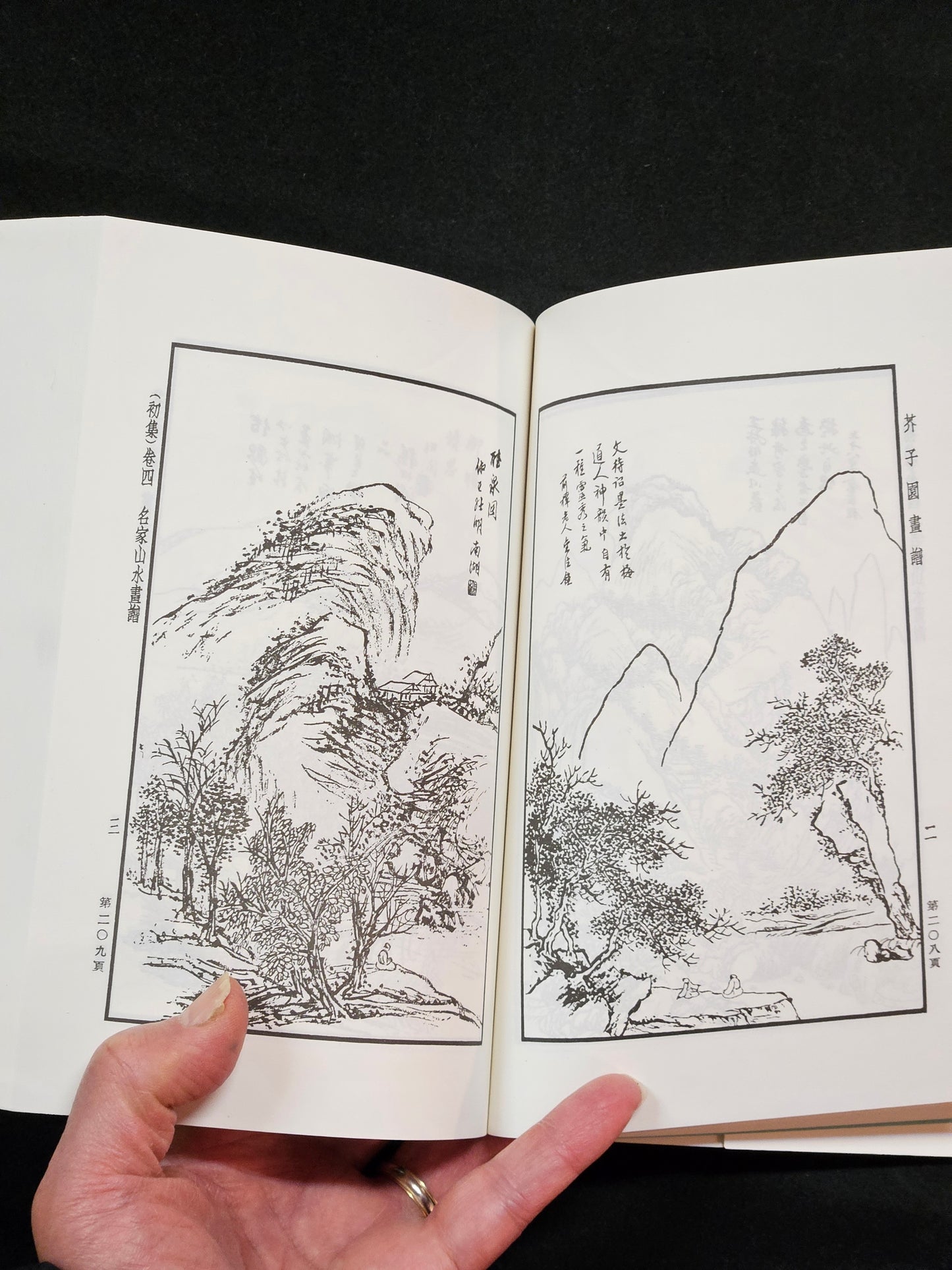 Mustard Seed Garden Manual of Painting (Portable Full Version)
