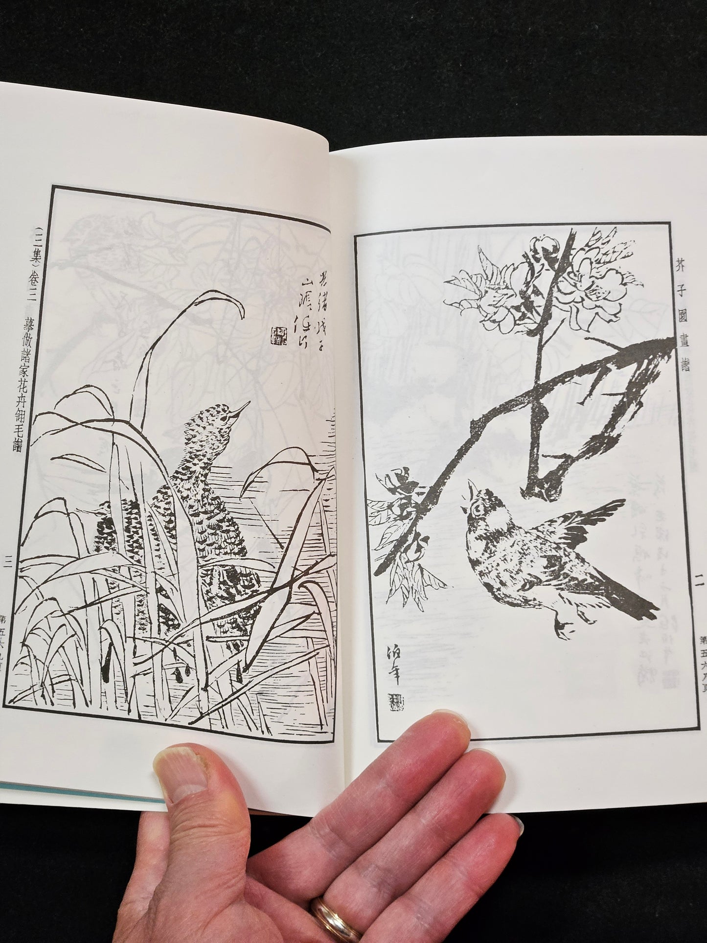 Mustard Seed Garden Manual of Painting (Portable Full Version)