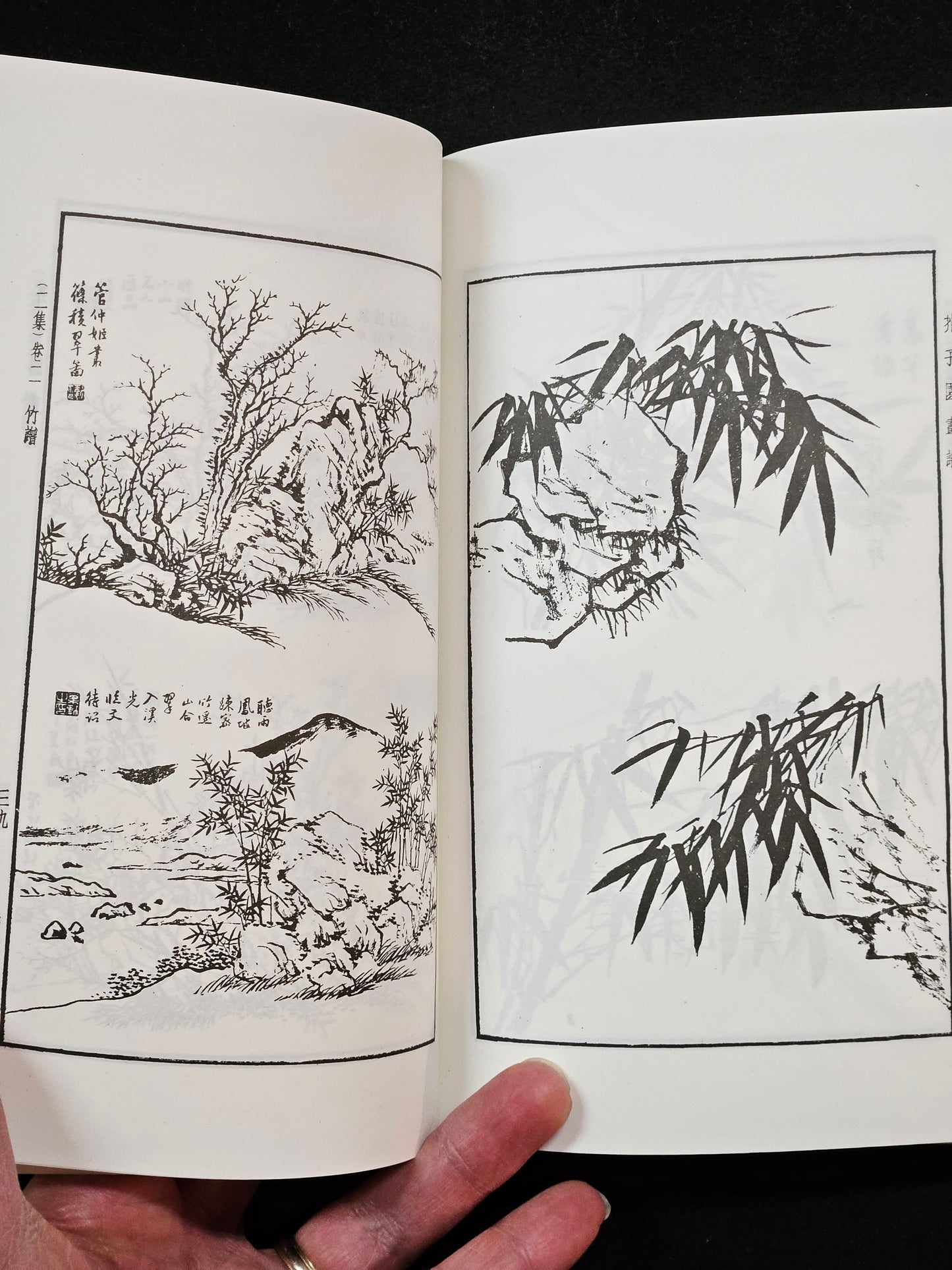 Mustard Seed Garden Manual of Painting (Portable Full Version)