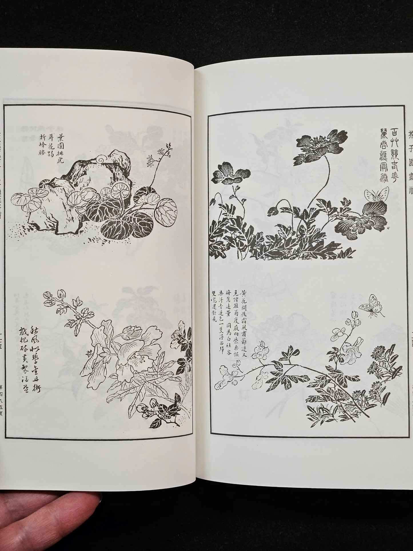 Mustard Seed Garden Manual of Painting (Portable Full Version)