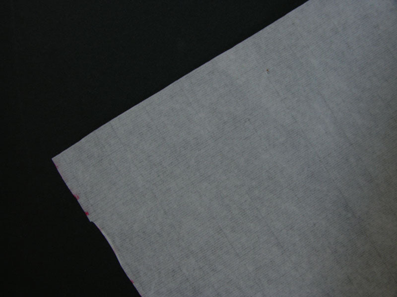 Cicada Wing Sized Xuan Paper for Gongbi Painting - 5 sheets 27X54.5