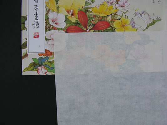 Premium Sized Single Xuan Rice Paper, Mica Free (26x52) 5 Sheets