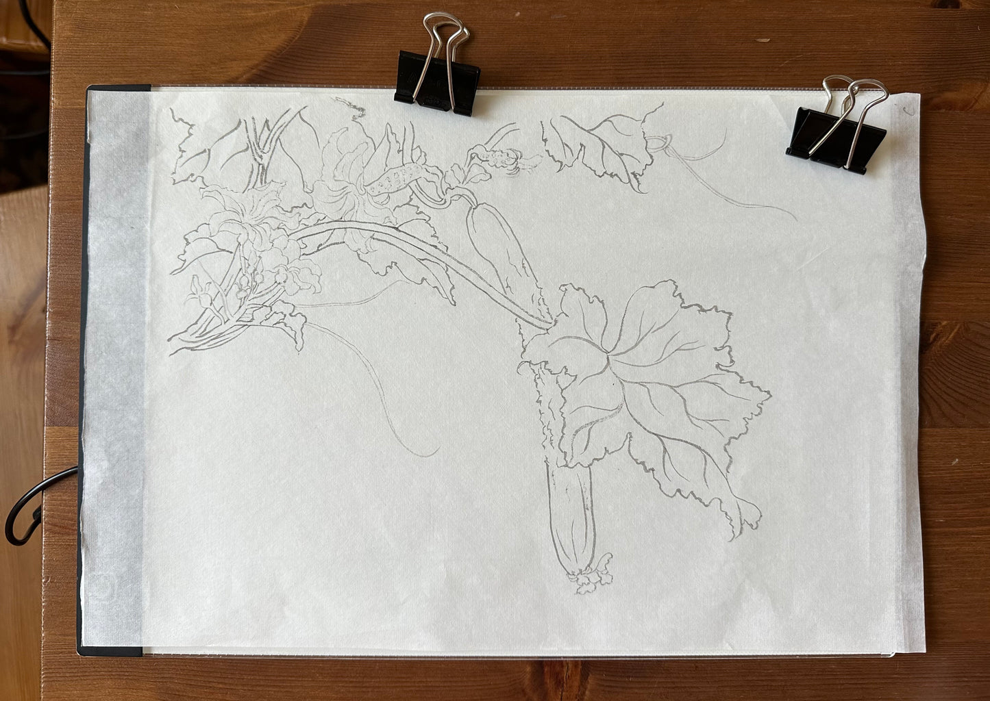 Gongbi Painting Workshop with Victoria: Cucumber Flowers Jun 17 2025