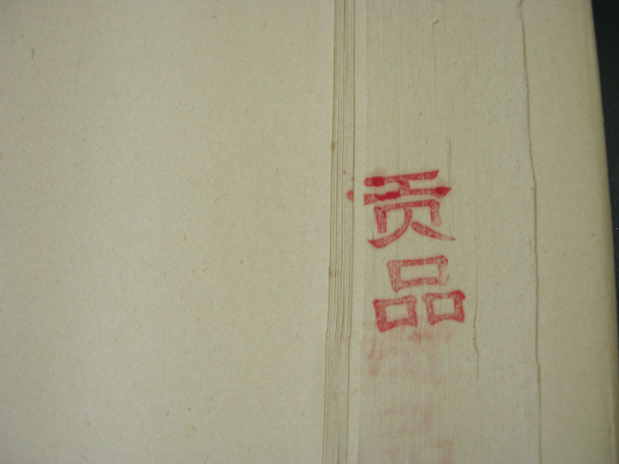 Yuanshu Bamboo Fibers Rice Paper - 10 Sheets (18"x27")