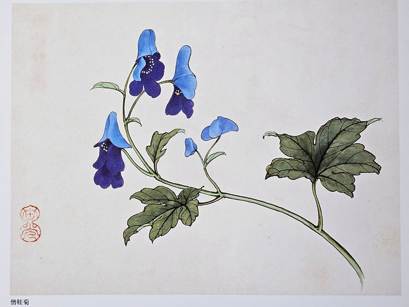 Monkshood Gongbi Painting Class with Victoria 0616