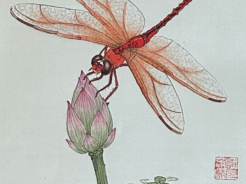 Dragonfly on a Lotus Gongbi Painting Workshop with Victoria 0818