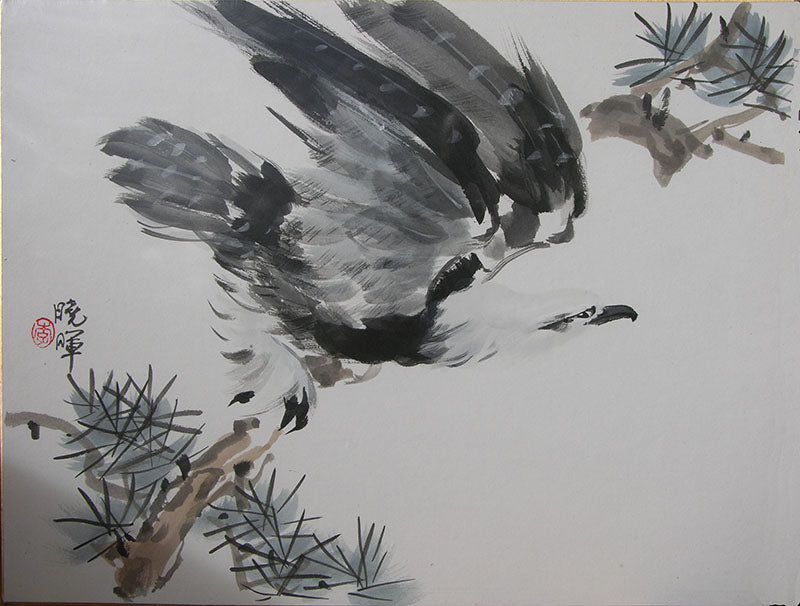 A 10-Week Class on Painting Eagle & Owls with Henry