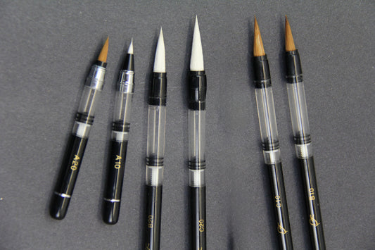 6 Varieties of BHA Piston-Filler Water Brushes &amp; Pens