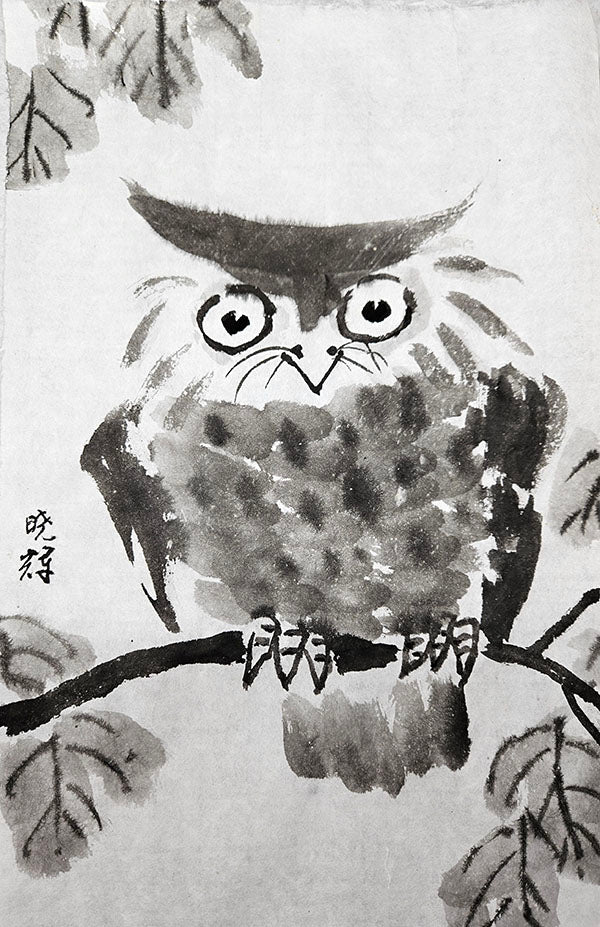 A 10-Week Class on Painting Eagle & Owls with Henry