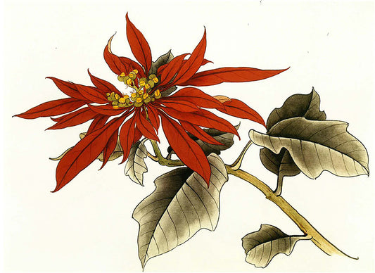 Poinsettia Gongbi Painting Class with Victoria — Last Class of 2025
