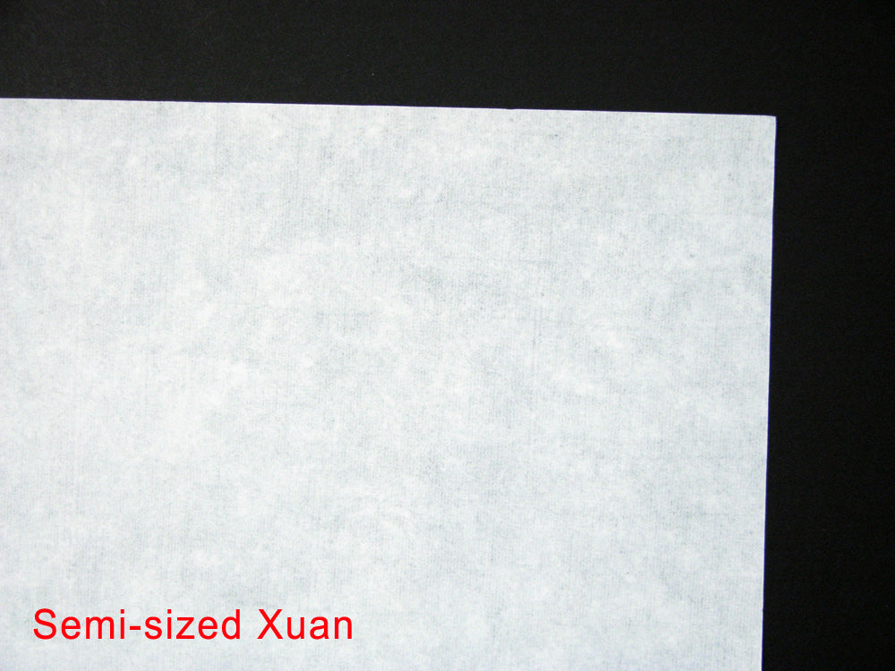 Semi-Sized Xuan Rice Paper 10 Sheets